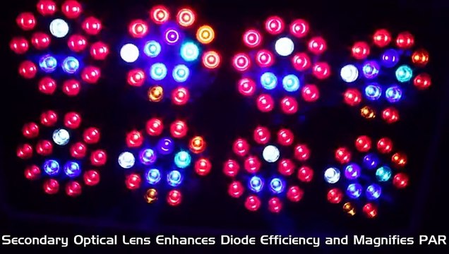 Hydroponics Systems & LED Grow Lights