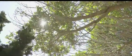 Phora - The Beauty Inside [Official Music Video]_2