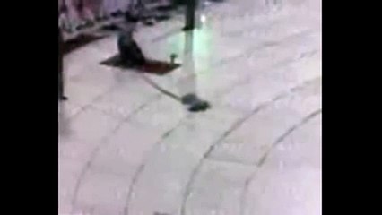 A man tried to stab the imam of Kaaba but fortunately he failed in his mission. - Video Dailymotion