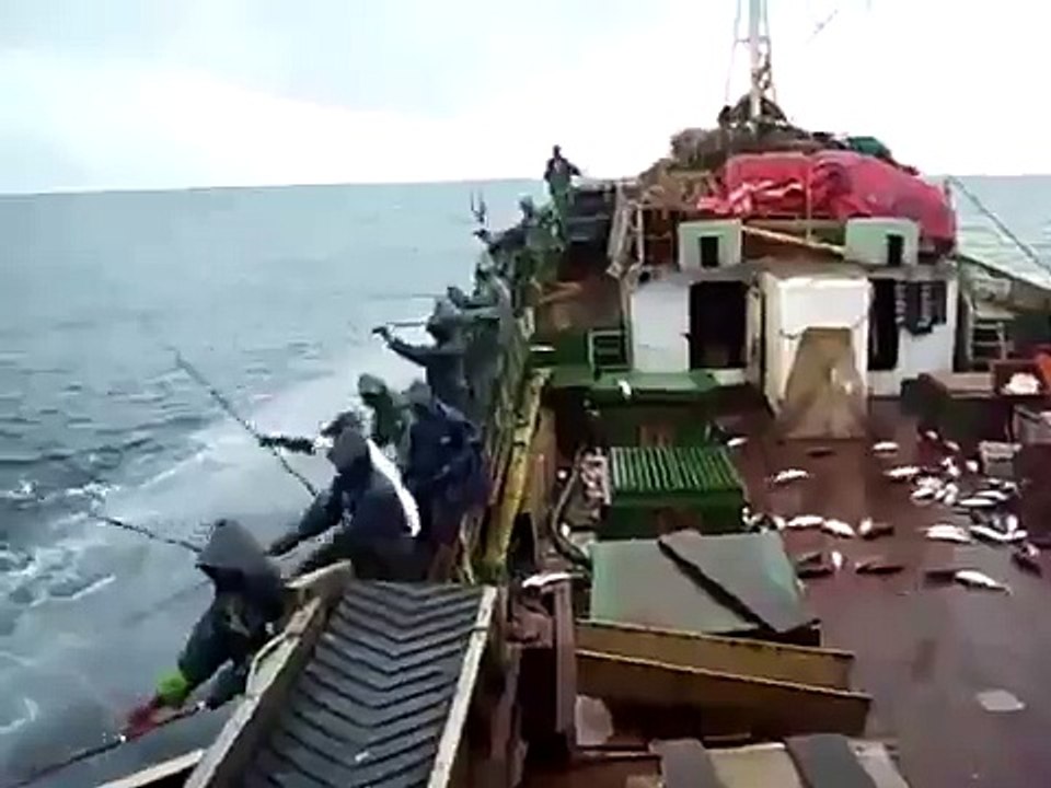Insane Pole Fishing !