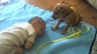 bebé se quedó dormido. Presta ATENCION a lo que hace el cachorro…
