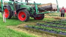 new agricultural technology | straw spreader machine for planting | new agricultural machi