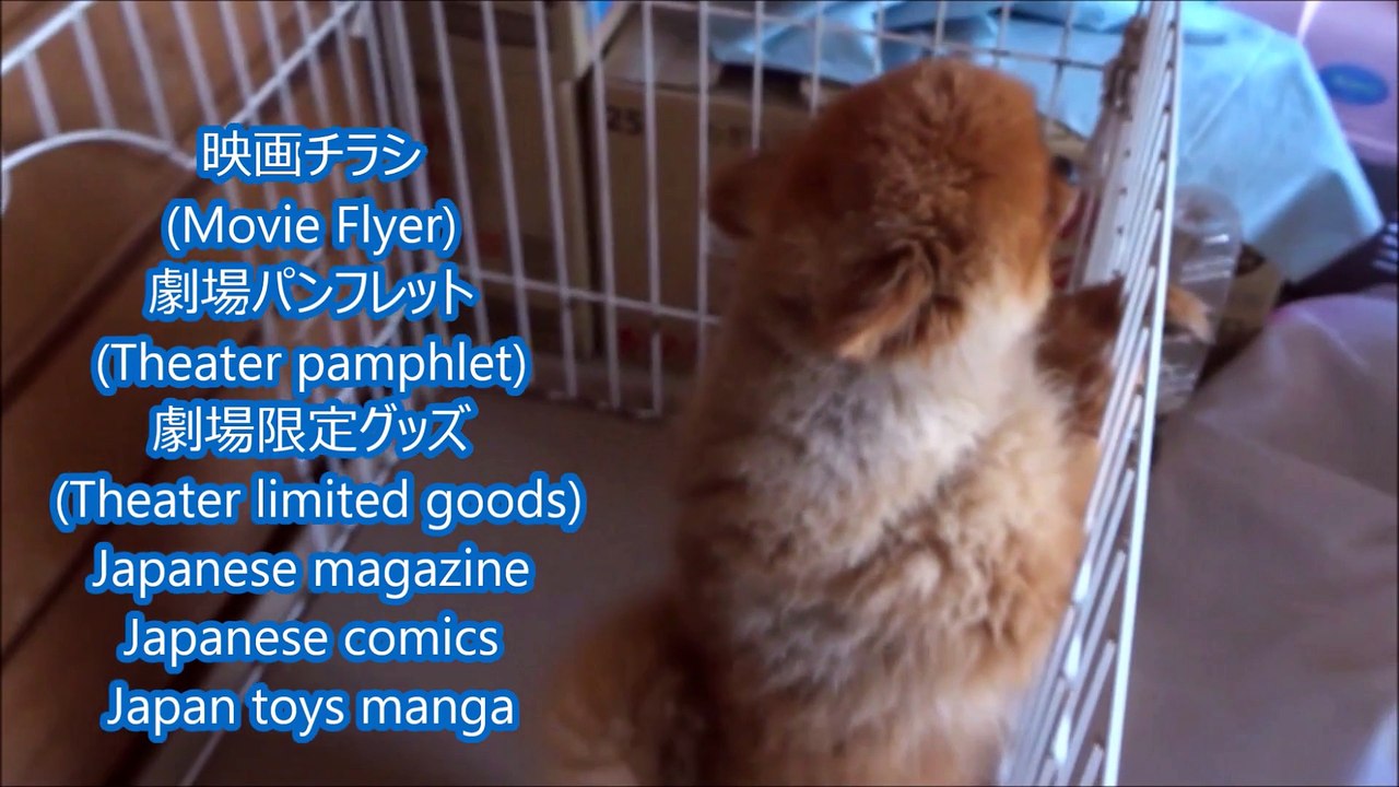 007 スペクター (B) (2015) 映画チラシ  ダニエル・クレイグ