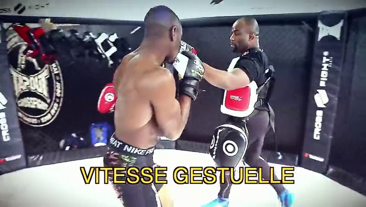 Ep 4   Paos & Pattes d'ours - Entraînement de la vitesse