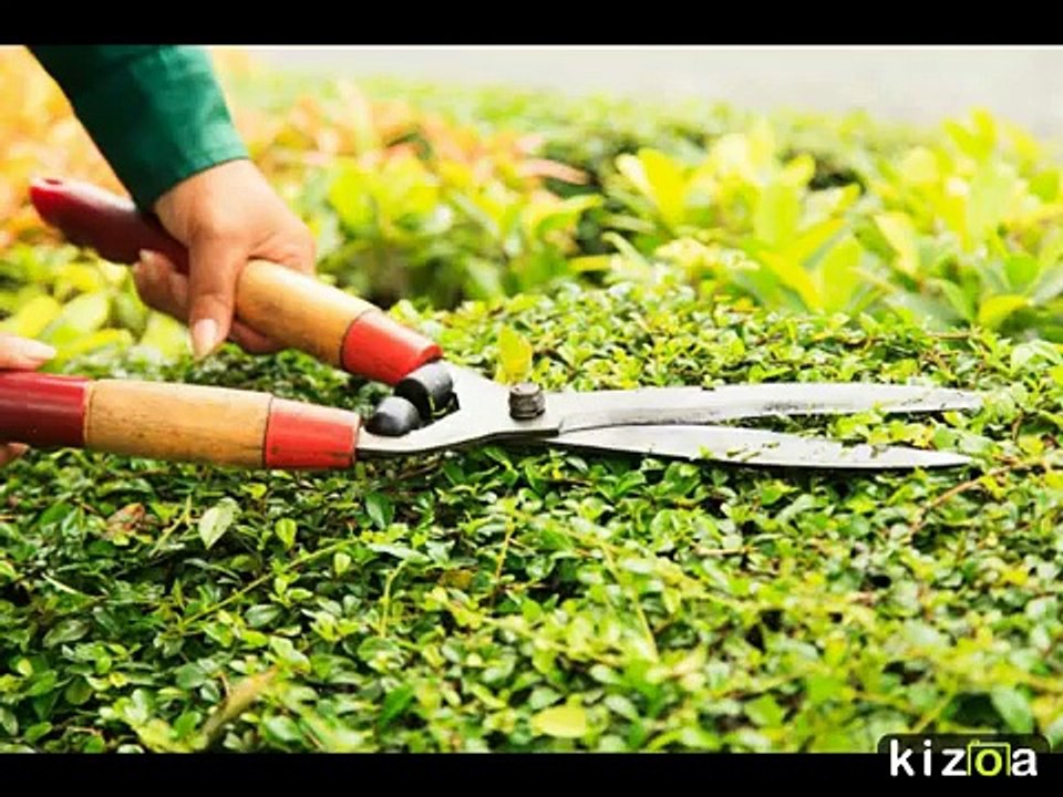 Easy Landscaping Tips to Sell House
