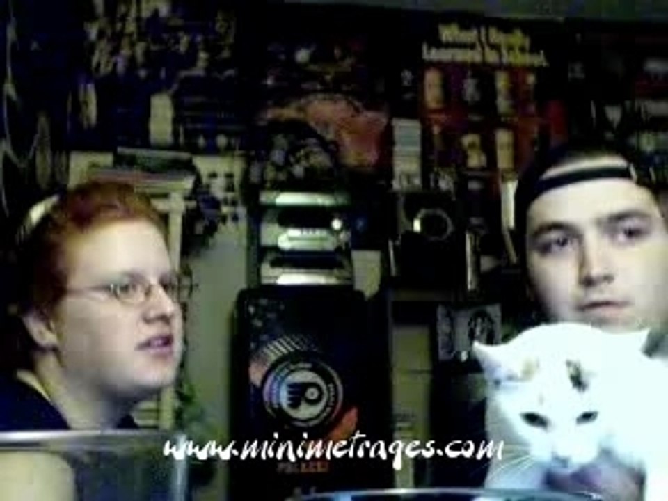 Chat_venere