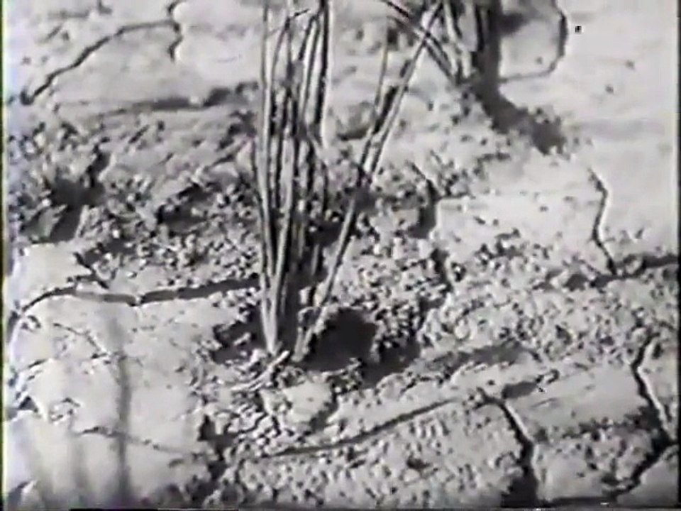 Earth (1939) 3-7
