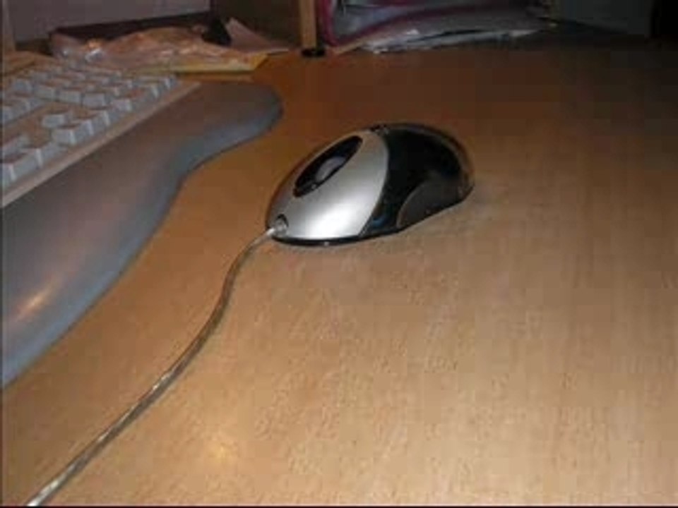 Souris