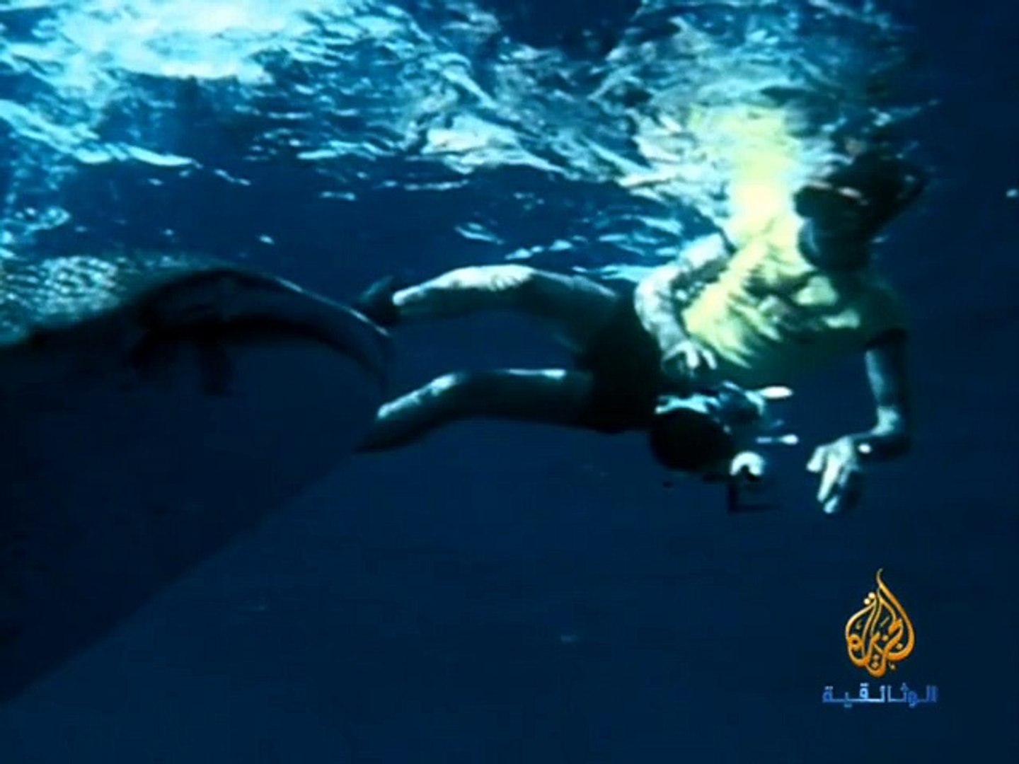 ⁣كائنات اعماق المحيط - مخلوقات الشعب المرجانية | أفلام وثائقية