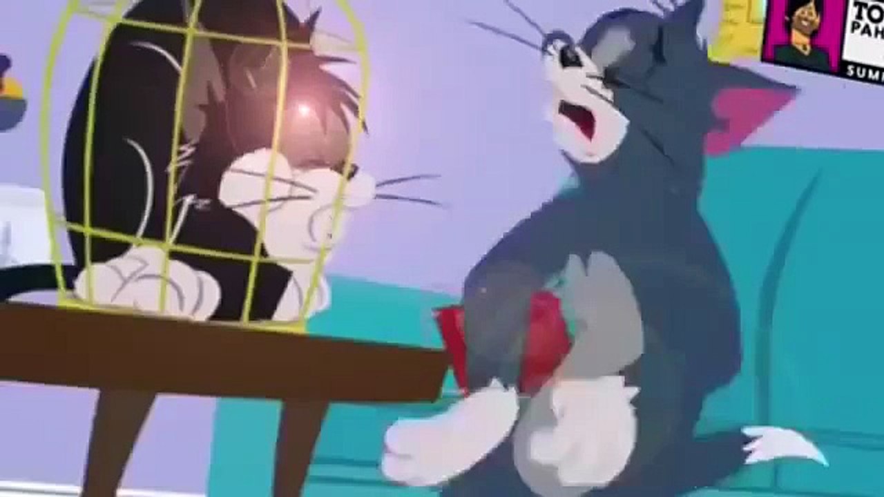 ANIMATION vidéo