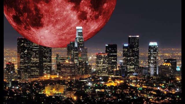 Fails - Oops - Right Moment Pics Compilation, September 30, 2015