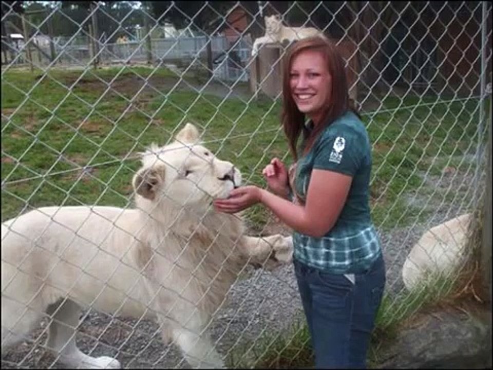 British-gap-year-girl-survives-lion-attack-7zOWCRo23t4