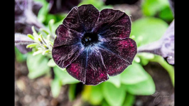 Fails - Oops - Right Moment Pics Compilation, September 25, 2015