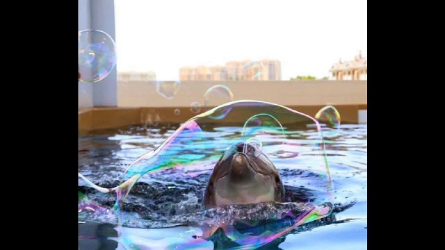 Fails - Oops - Right Moment Pics Compilation, September 17, 2015