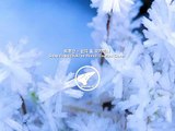 눈의 꽃 오카리나 연주 / Snow Flower(Yuki no Hana) Ocarina Cover.