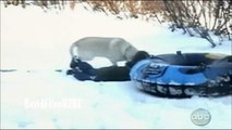 ☺ AFV Part 137 Winter Edition #1 (NEW) Americas Funniest Home Videos (Funny Clips Compila