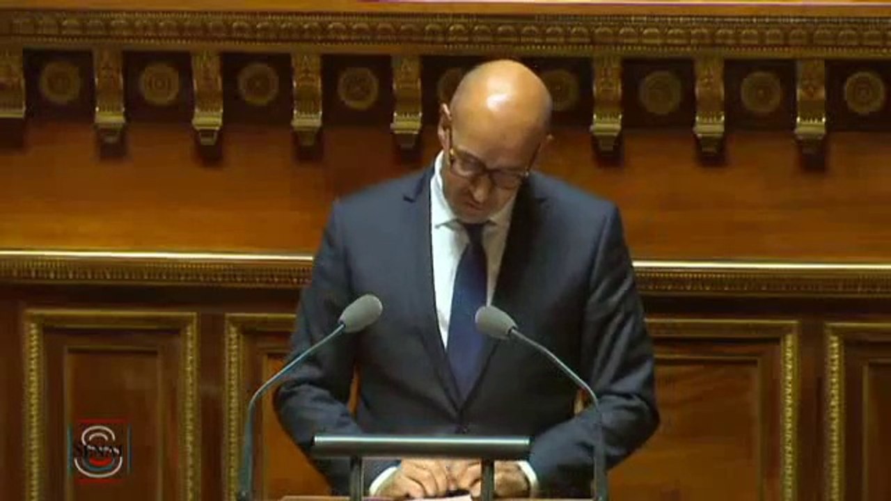 Débat préalable au Conseil européen : discours d'ouverture d'H. Désir au Sénat