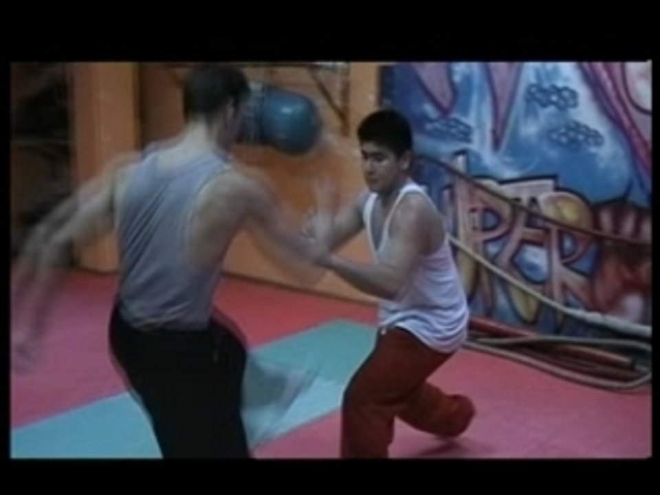 Kung vs fu