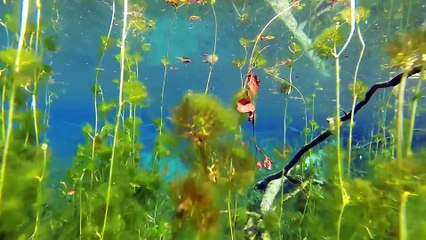 Kiikunlähde 21.08.2015, Hollola, Finland