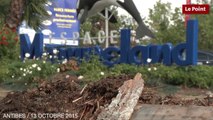 Inondations : ce qu'il se passe vraiment à Marineland