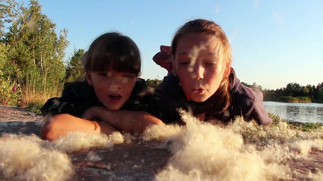 2015 Жизнь - это... (Ольга Старицына)