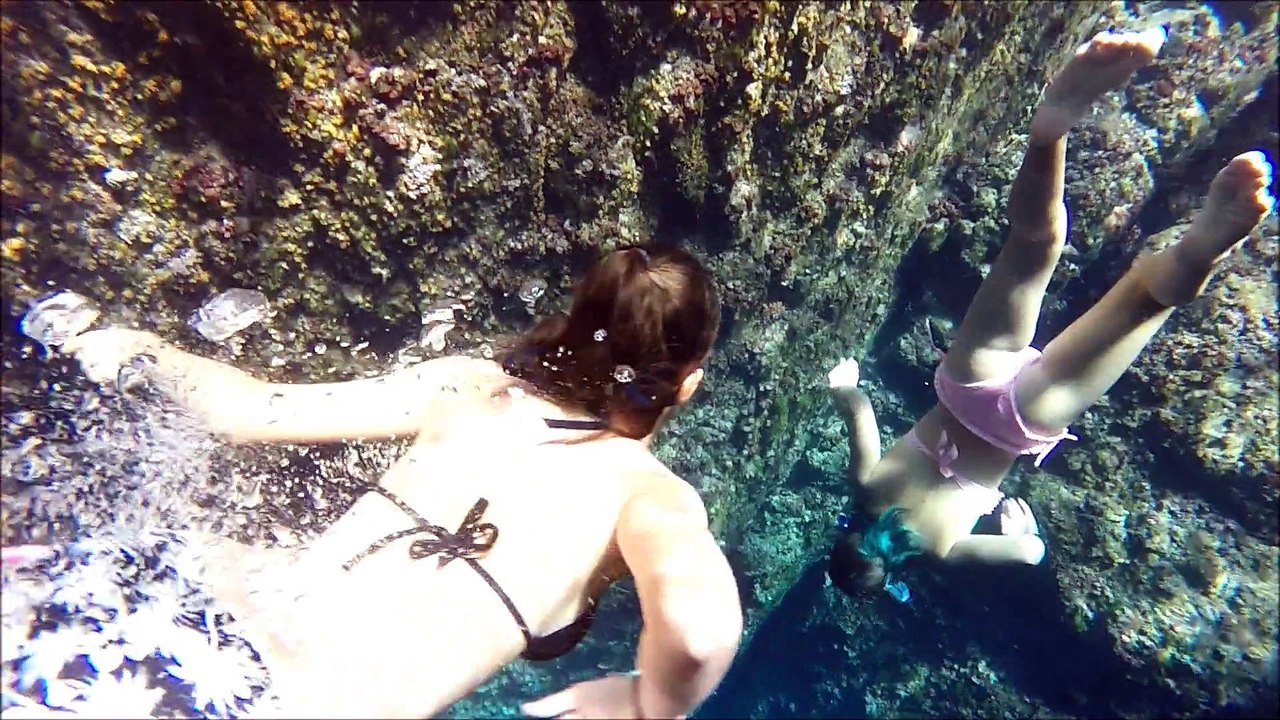 Corse 2015 top