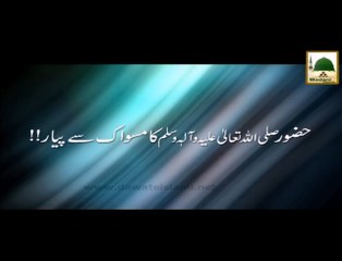 Huzoor Ki Miswak Se Mohabbat - Maulana Ilyas Qadri - Short Speech