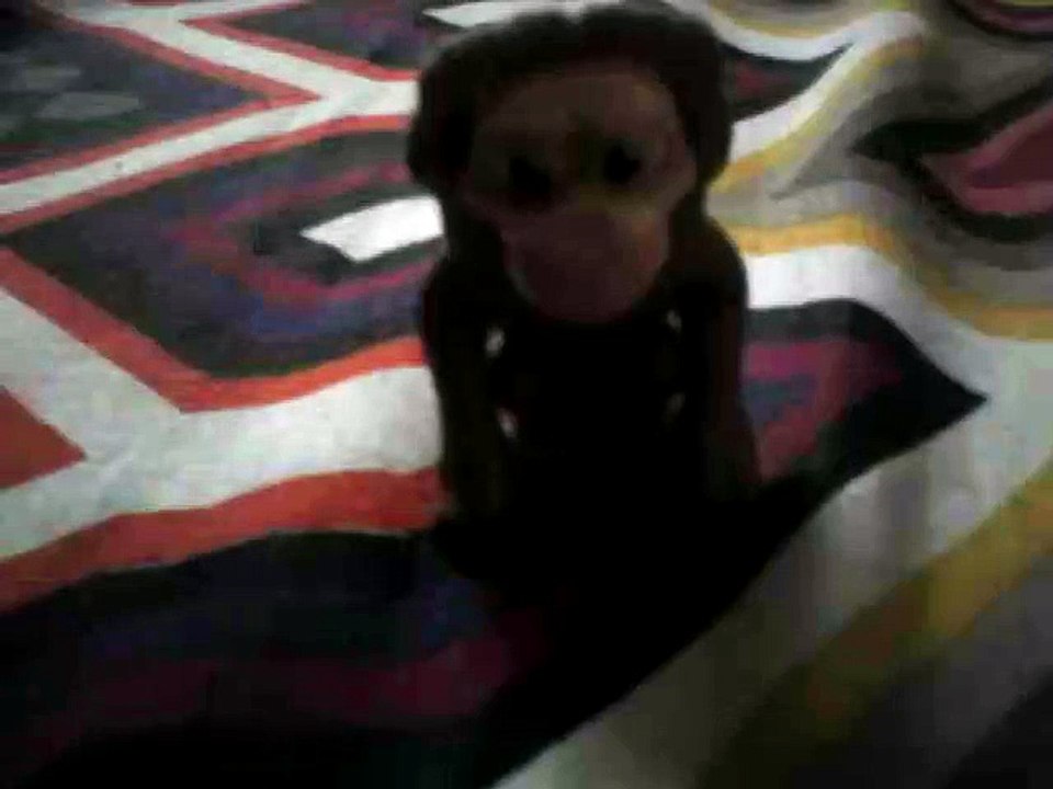 monkey