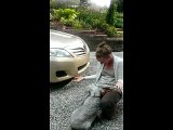 L'incredibile emozione di un cane che rivede la padrona dopo quasi due anni