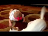 Il video del cane che insegna a gattonare alla bambina