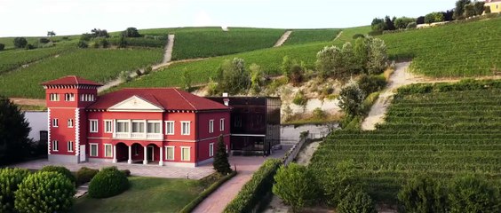 Giordano Vini - L'eccellenza del vino quotidiano