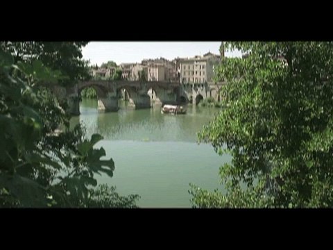 L'epico scontro tra un pesce gatto e un piccione selvatico