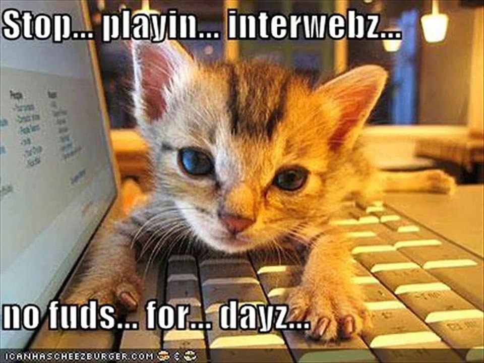 vERY fUNNY cATS 4