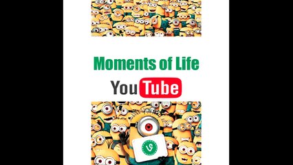 Best fails #97 (vine), Epic fails (coub) 2015