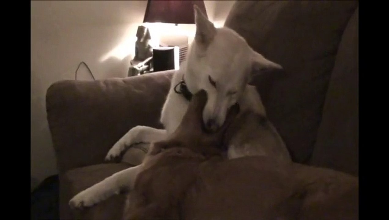 Funniest or Weirdest thing!!??