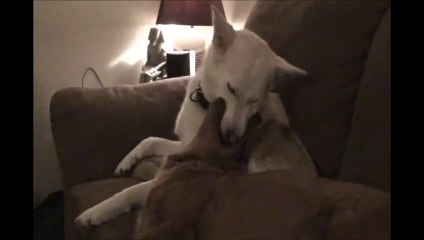 Funniest or Weirdest thing!!??