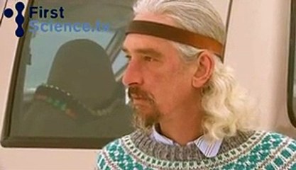 Polar Bears and Dogs