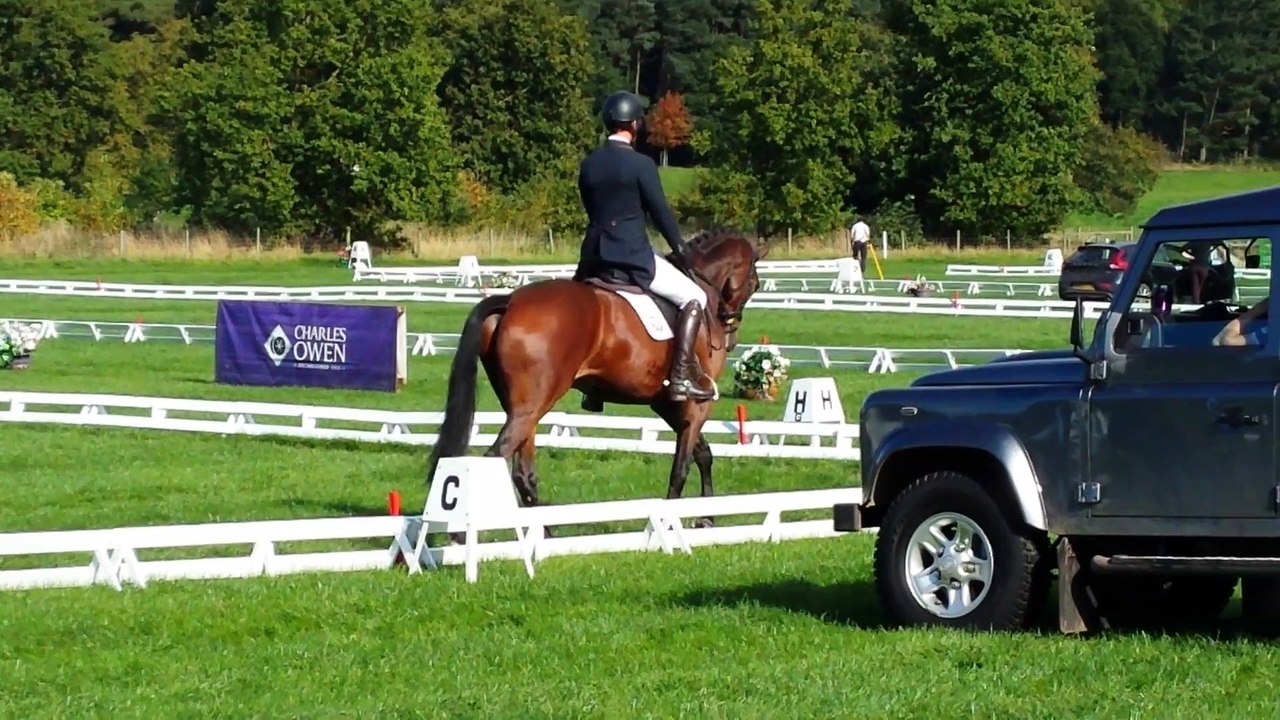 Tamtam Dressage Weston Park 2015