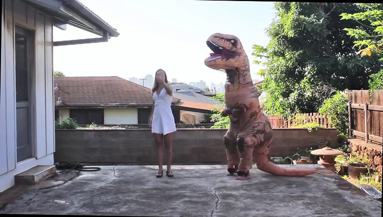 Un T-Rex to apprend à danser la Macarena !