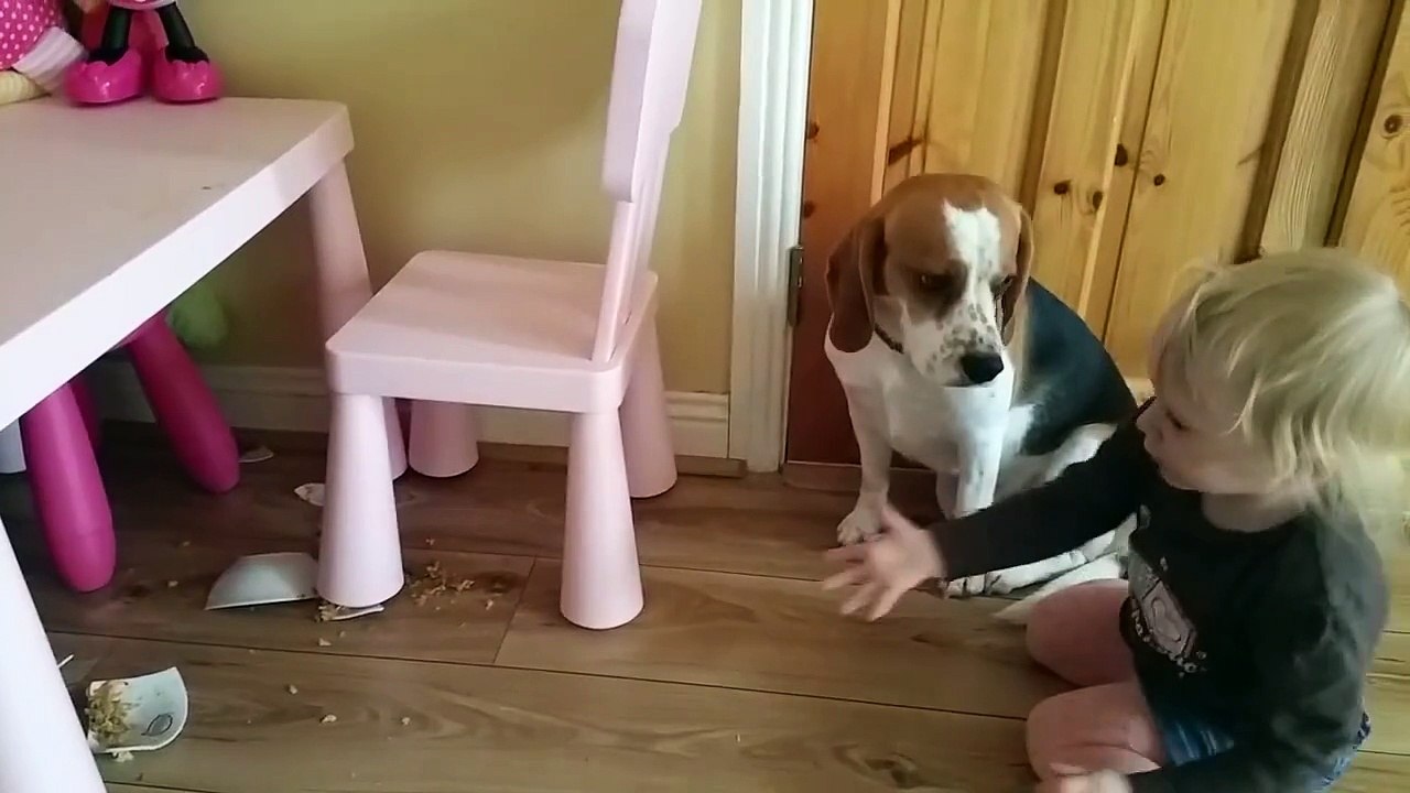 Une enfant fait un câlin à son chien pour le consoler