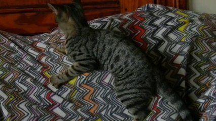 • CHEESE ! ... Le petit Solune va sortir... •