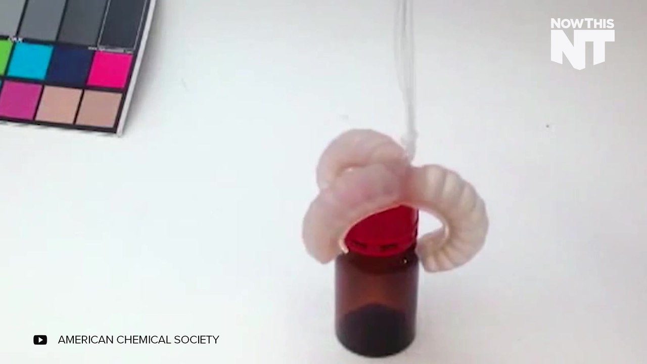 This Stretchy Soft Robot Is Pretty Cool
