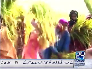 Dahi Khwateen ka Din 15-10-2015