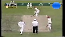 Deadliest Bouncer Ever Bowled In Cricket