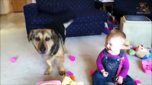 Вот что бывает, если оставить собаку наедине с ребенком