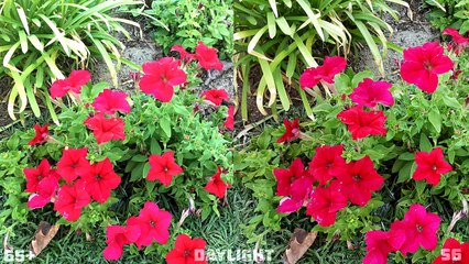 Galaxy S6 vs iPhone 6 - Full Camera Comparison