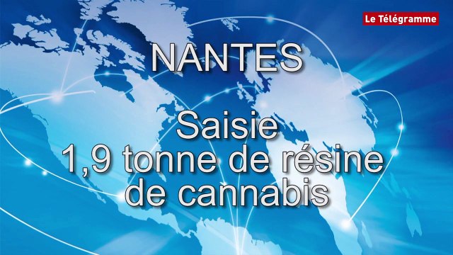 Ancenis (44). Près de 2 t de cannabis saisies