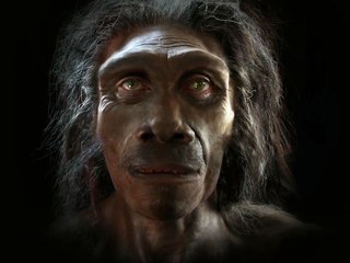 L'évolution de l'homme vue en trois minutes