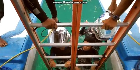 Wonderful Bali Indonesia