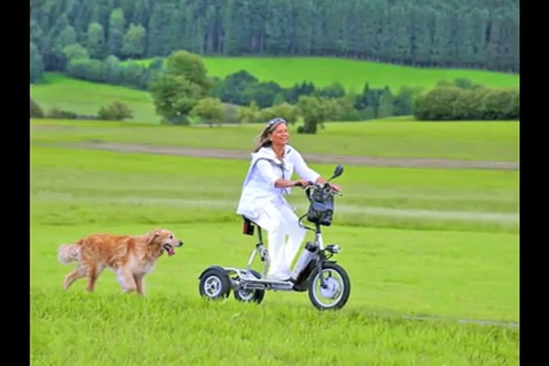 trottinette électrique bikeboard 3 roues homologuée route pmr, handi , camping car